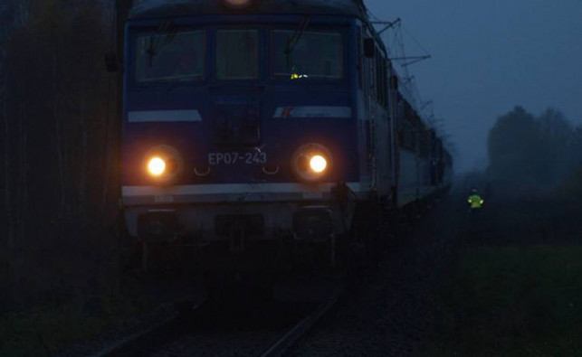 Śmierć na torach, ruch pociągów na trasie Kutno-Zgierz wstrzymany - Zdjęcie główne