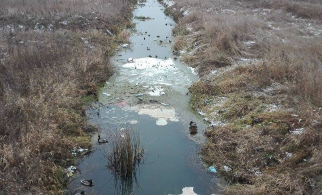 Ochnia znowu zaśmiecona - Zdjęcie główne