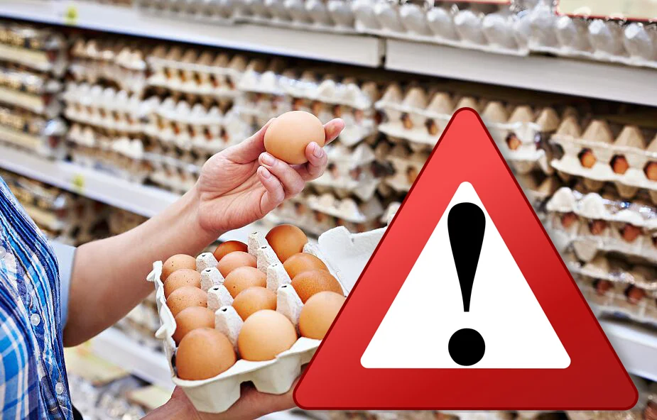 Uwaga! Jaja wycofane z popularnych marketów. Są skażone salmonellą - Zdjęcie główne