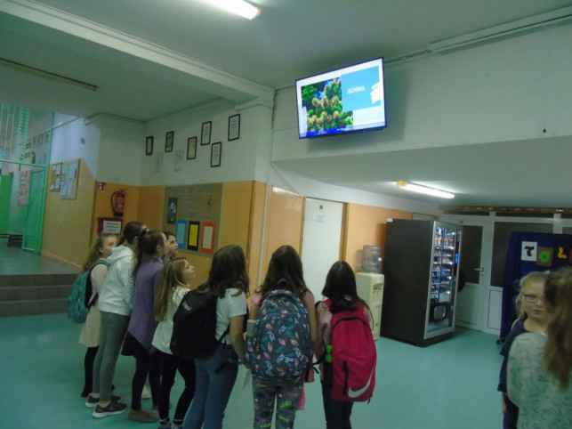 Wirtualna Gazetka  w Szkole Podstawowej w Strzelcach [FOTO] - Zdjęcie główne