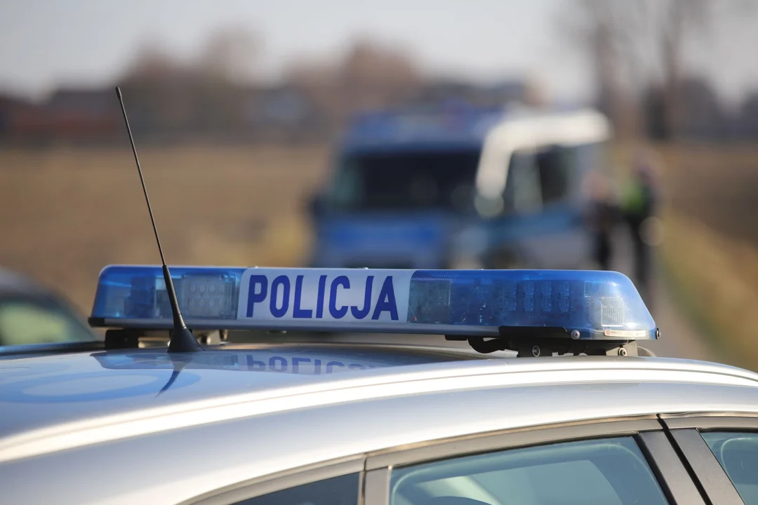 Seria policyjnych zatrzymań w powiecie kutnowskim. Wśród zatrzymanych aż troje nastolatków - Zdjęcie główne