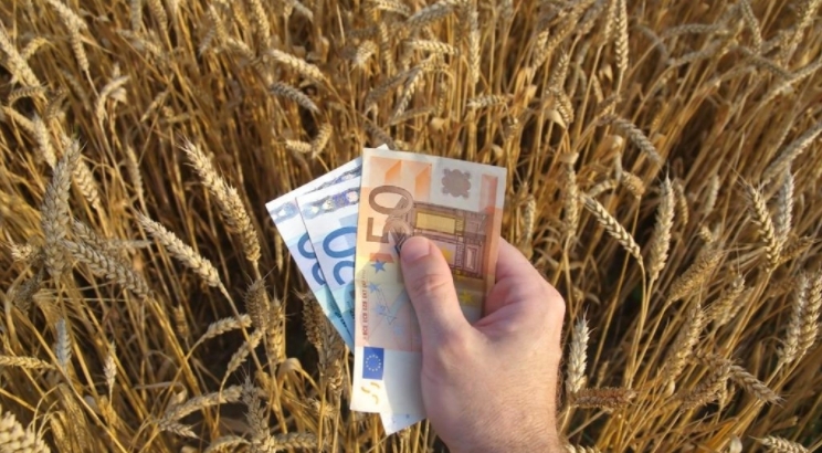 Będzie kolejne dofinansowanie dla rolników. Trwa nabór wniosków, do zganięcia kilkaset tys. euro - Zdjęcie główne