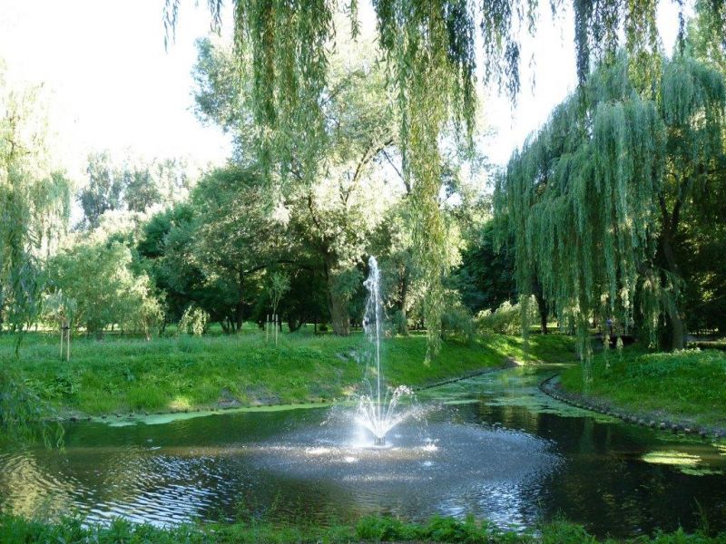 Gejzery wodne w parku - Zdjęcie główne