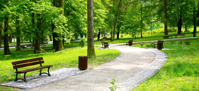Prezentacja zagospodarowania parku w Grabowie  - Zdjęcie główne