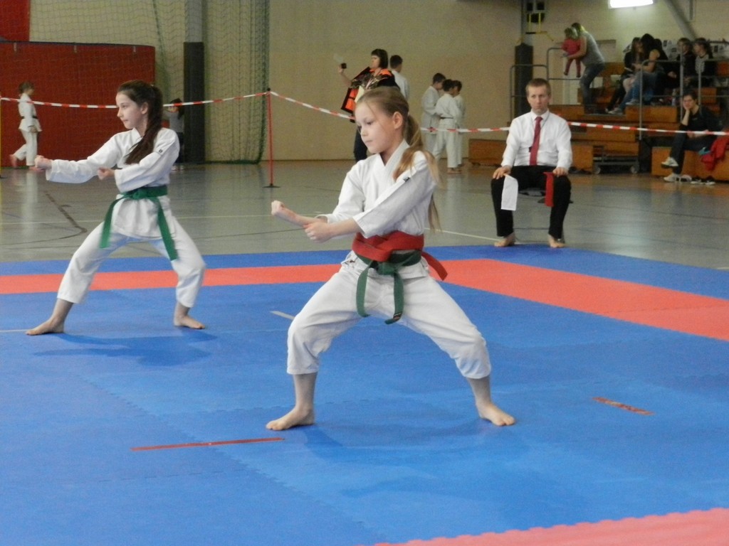 VI Mistrzostwa Polski Karate Shotokan NSKF Polska  - Zdjęcie główne