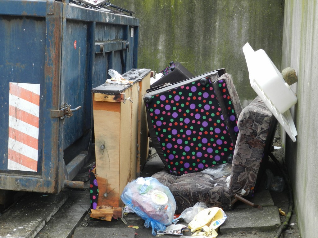 Śmieciowy problem Łęczycy - Zdjęcie główne