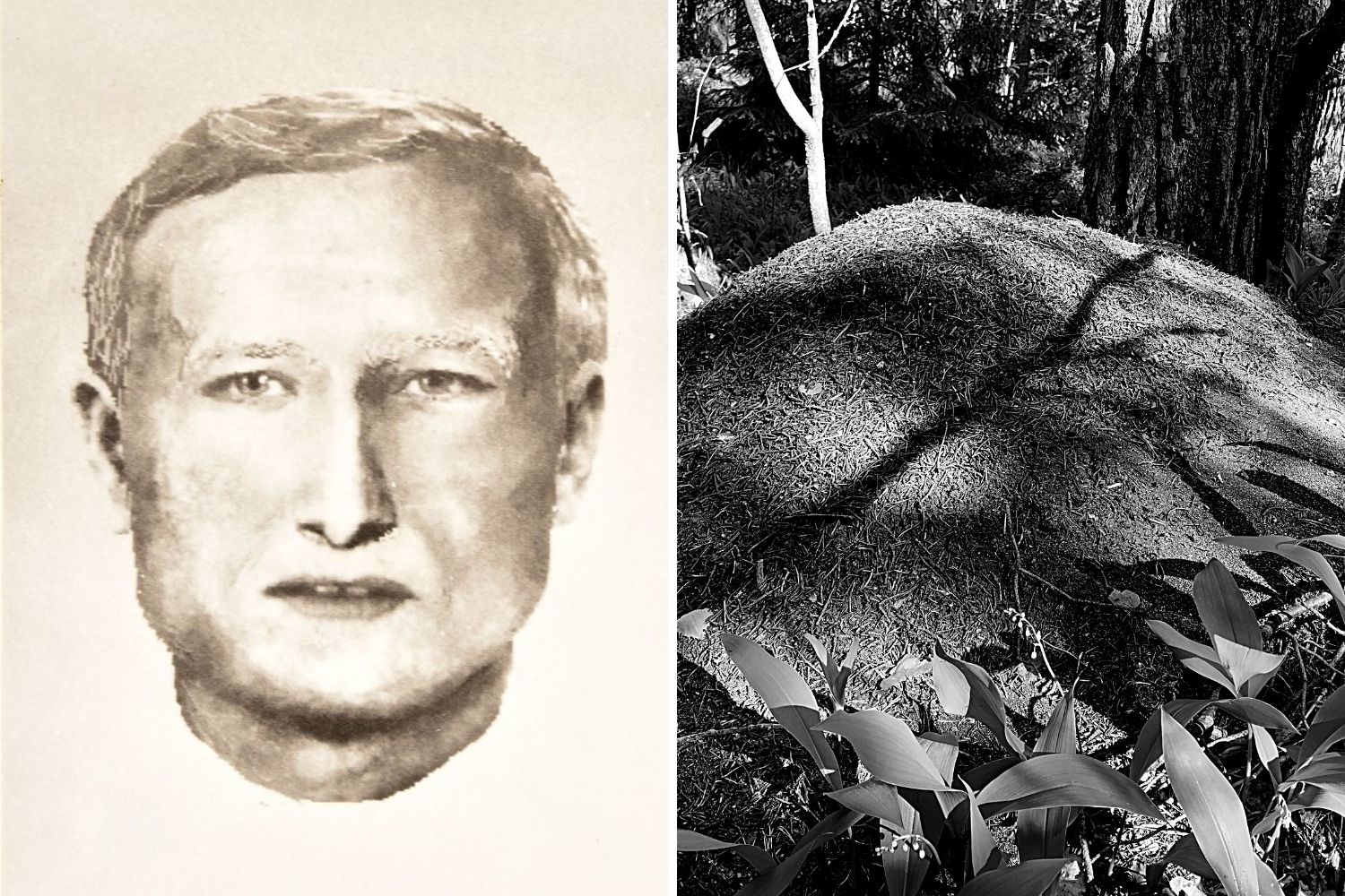 Od szokującego odkrycia pod Łodzią minęło 18 lat. Wciąż nie wiadomo, kim był zamordowany mężczyzna - Zdjęcie główne
