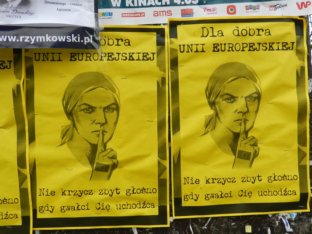 Smutna prawda czy język nienawiści? Kontrowersyjne plakaty zawisły w Łęczycy - Zdjęcie główne