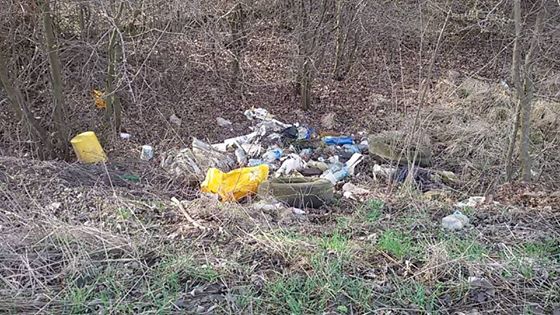 Miasto walczy z dzikimi wysypiskami śmieci - Zdjęcie główne