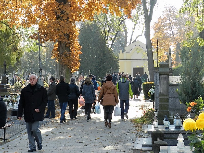 Dziś Noc Świętych, a jutro Wszystkich Świętych – sprawdź godziny nabożeństw - Zdjęcie główne