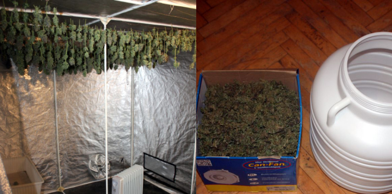 W jednym z płockich mieszkań znaleziono 6 kilogramów narkotyków  - Zdjęcie główne