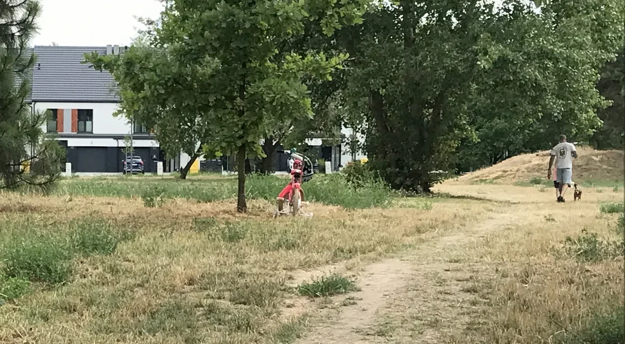 Ogród różany, flow park, psi wybieg i polana do imprez na płockich Podolszycach? Pozwolenie na budowę już za trzy miesiące - Zdjęcie główne