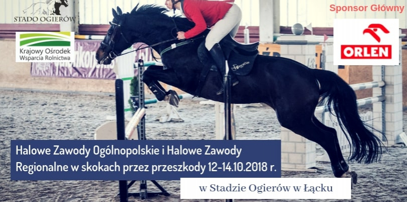 Już w ten weekend Zawody Jeździeckie w Łącku! - Zdjęcie główne