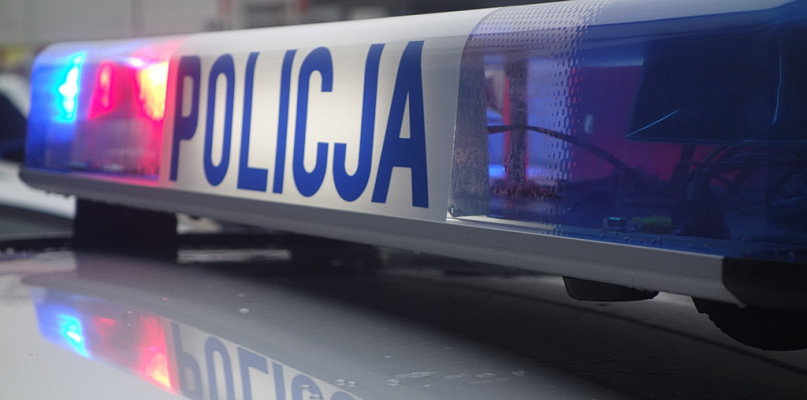 Dziecko wtargnęło na jezdnię wprost pod koła samochodu - Zdjęcie główne