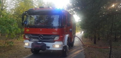 Seria pożarów. Strażacy podejrzewają, że to robota podpalacza - Zdjęcie główne
