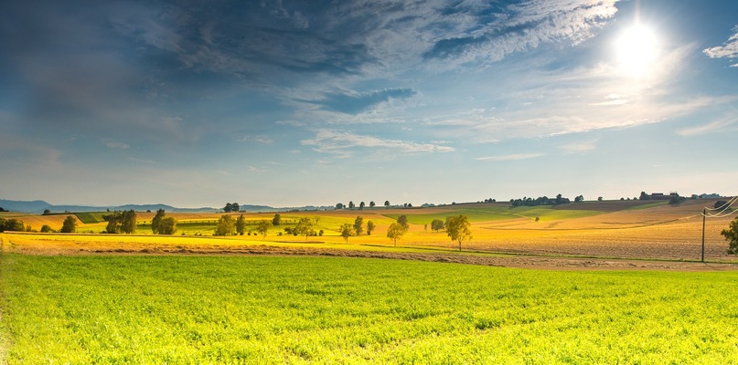 Zielone miejsca na wiosnę. Zwiedź dziką Polskę - Zdjęcie główne