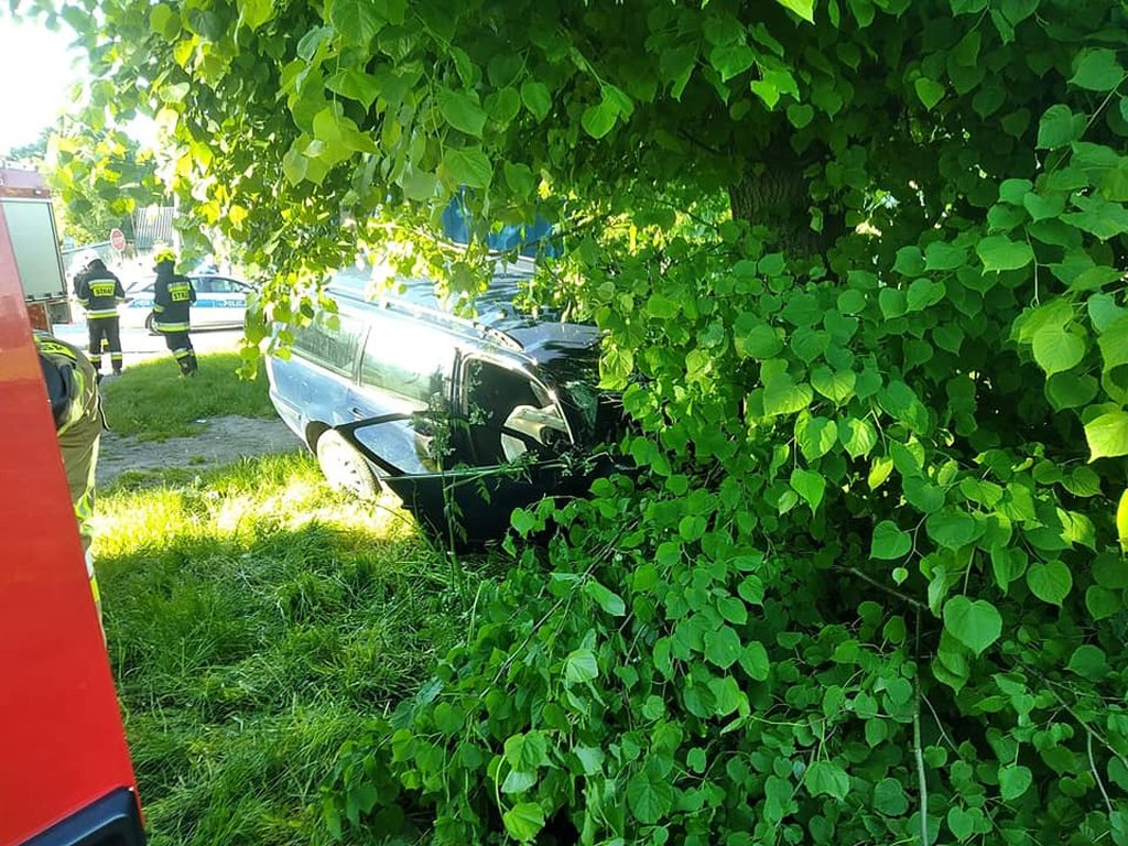 Auto zatrzymało się na drzewie. Kierowca nie przeżył - Zdjęcie główne
