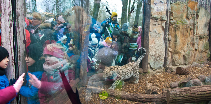 Sylwestrowe zwiedzanie zoo okazją do wspólnej zabawy [FOTO] - Zdjęcie główne