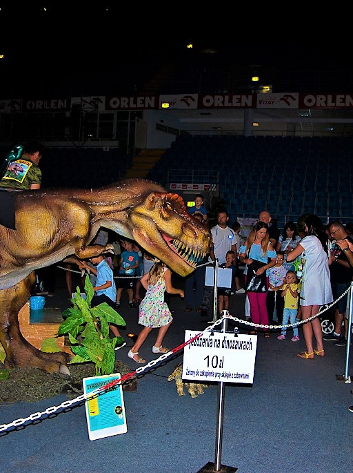 Podróżnicza wystawa dinozaurów w Orlen Arenie - Zdjęcie główne