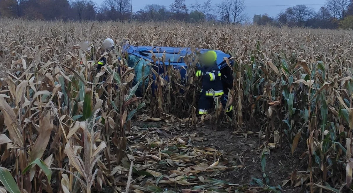 Wpadł autem w pole kukurydzy - dachował. 19-letni kierowca trafił do szpitala - Zdjęcie główne