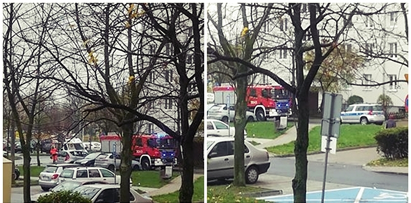 W mieszkaniu ktoś krzyczał 'ratunku'. Wezwano służby [FOTO] - Zdjęcie główne