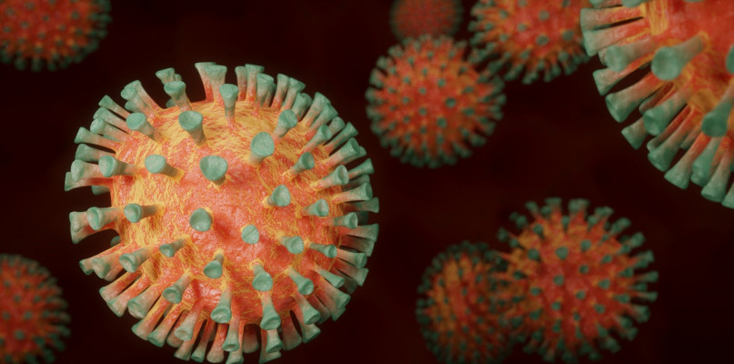 Koronawirus w regionie: jeden nowy przypadek zakażenia [RAPORTY SANEPIDÓW] - Zdjęcie główne