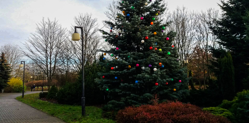 Park na Podolszycach też już gotowy na święta  - Zdjęcie główne