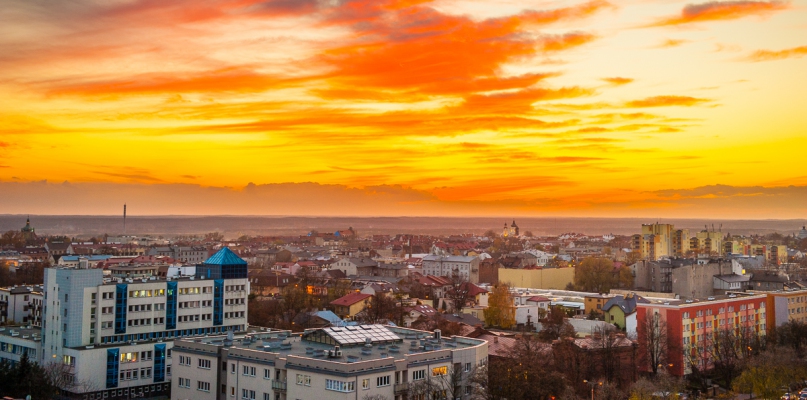 Palma, Ruska Bania i Skarpywood, czyli te i inne odrzucone pomysły płocczan - Zdjęcie główne