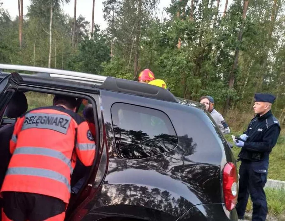 Auto zderzyło się z łosiem, stanęło w płomieniach. Decydowały sekundy! - Zdjęcie główne