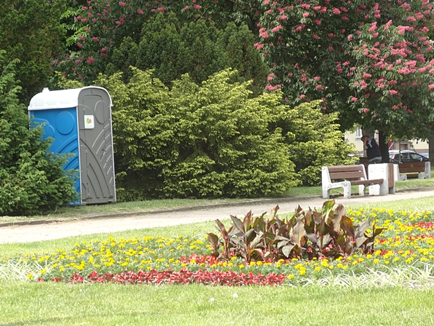 Nie herb, a flaga z kwiatów na placu [FOTO] - Zdjęcie główne
