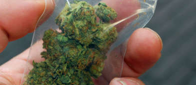Płocczanin przewoził torbę pełną marihuany - Zdjęcie główne
