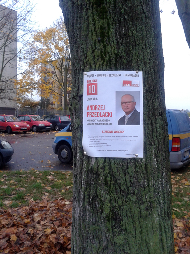 Kandydat powiesił plakat na drzewie - Zdjęcie główne
