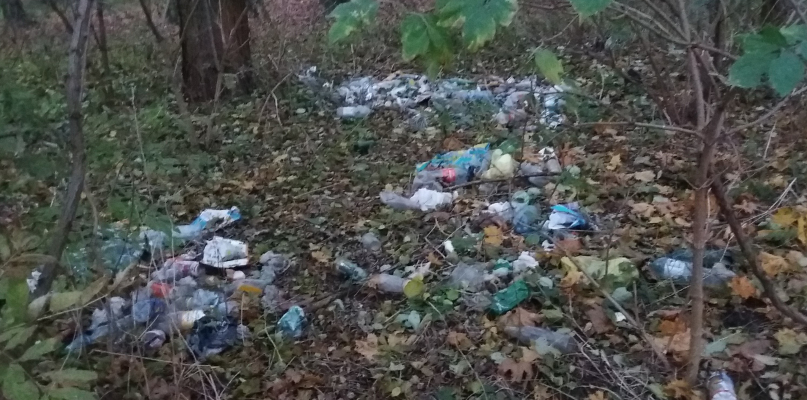 Góra śmieci w płockim parku. Kto za to odpowiada? - Zdjęcie główne
