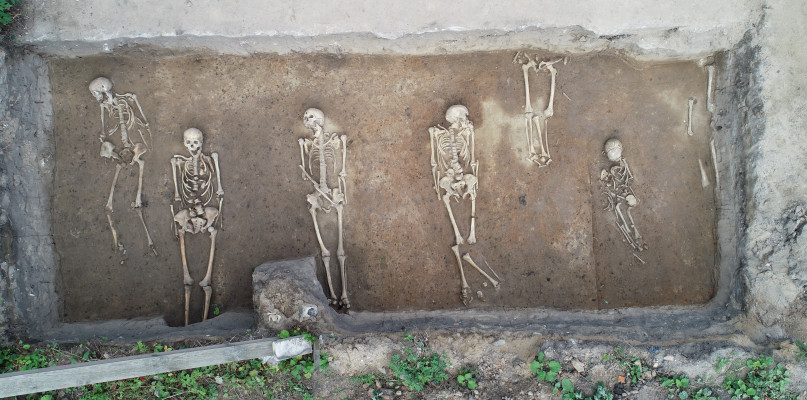 Znaleźli kilkadziesiąt szkieletów i kilka czaszek - Zdjęcie główne