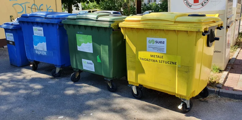 Ile zapłacimy za wywóz śmieci w Płocku? Oferty w przetargach mogą szokować - Zdjęcie główne