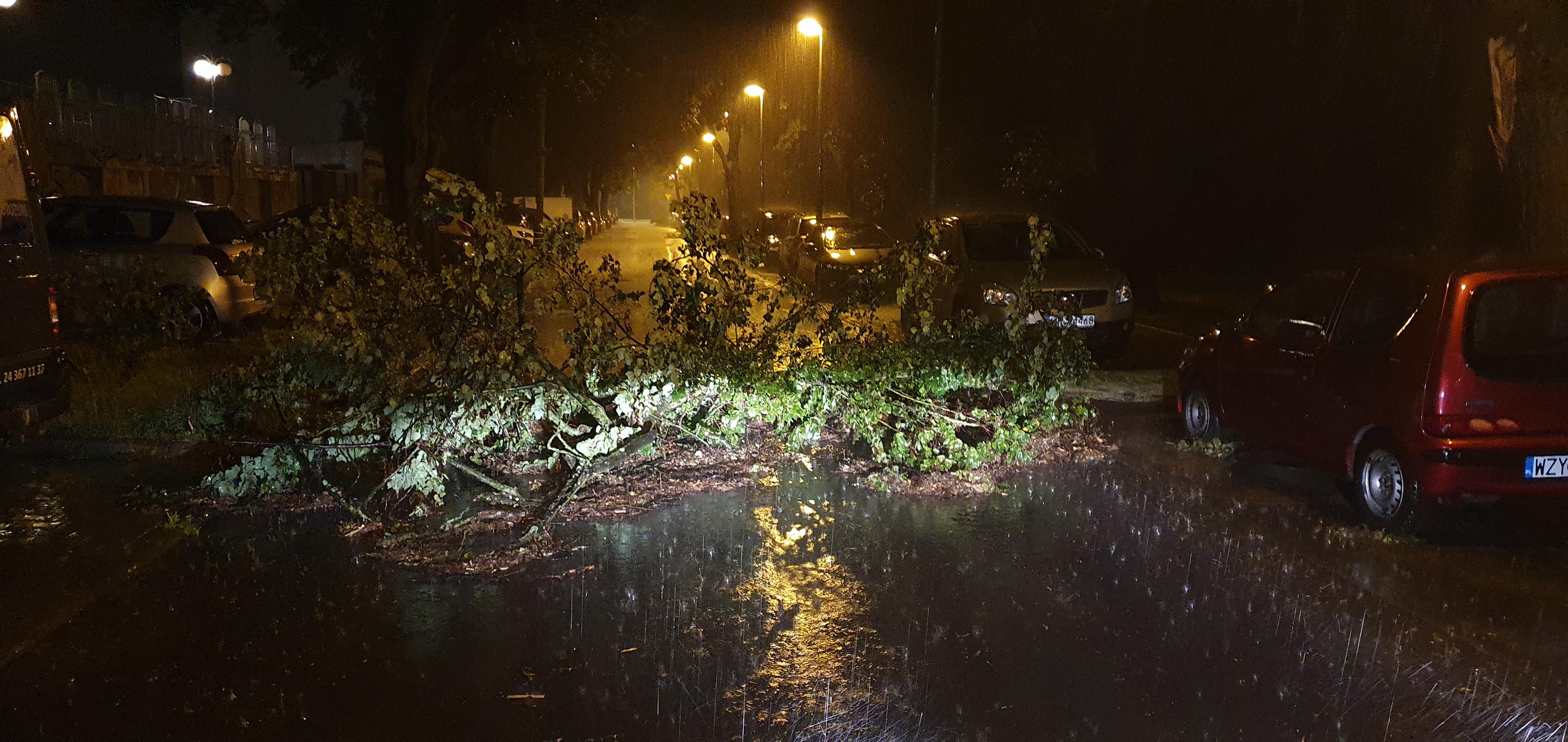 Potężna nawałnica nad Płockiem. Powyrywane drzewa, zalane ulice [ZDJĘCIA] [WIDEO] - Zdjęcie główne