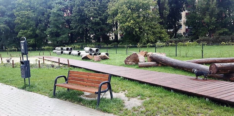 "Nie chcemy tu parku przyjaznego psom". Mieszkańcy Podolszyc protestują - Zdjęcie główne