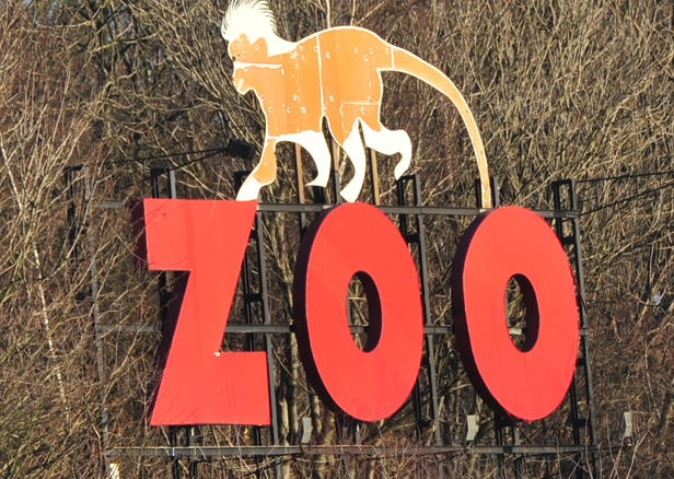Wiadomo, kto zastąpi dyrektora zoo - Zdjęcie główne