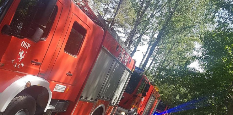 Kolejny pożar lasu pod Płockiem - Zdjęcie główne