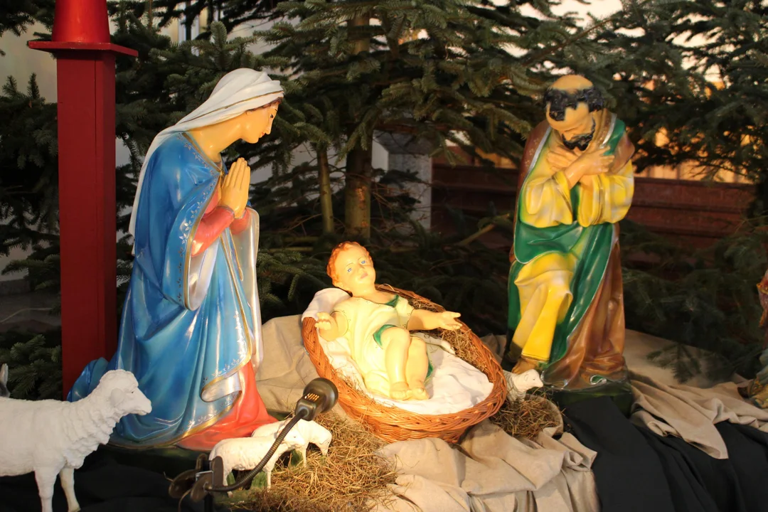 Szopki bożonarodzeniowe w płockich kościołach [ZDJĘCIA]  - Zdjęcie główne