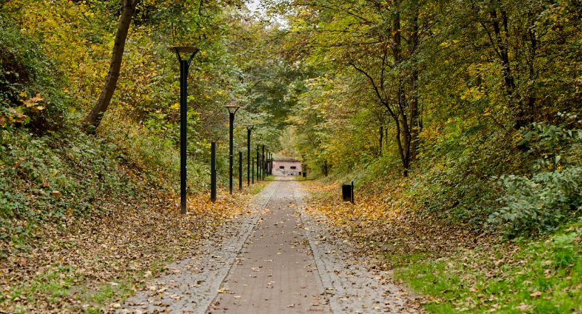 Ptasie osiedla i schrony dla nietoperzy w parku Hevelianum [ZDJĘCIA] - Zdjęcie główne