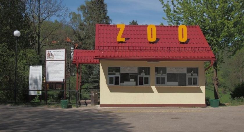 Dramat w gdańskim ZOO. Kierownik podejrzany o molestowanie seksualne  - Zdjęcie główne