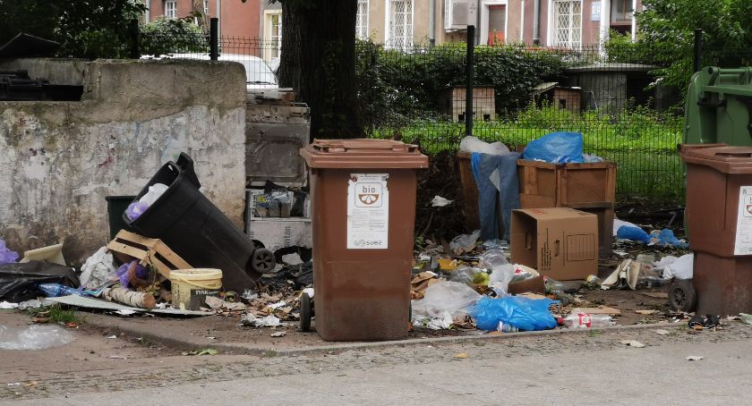 Śmietnisko gorszy i straszy w sercu Gdańska [ZDJĘCIA]  - Zdjęcie główne