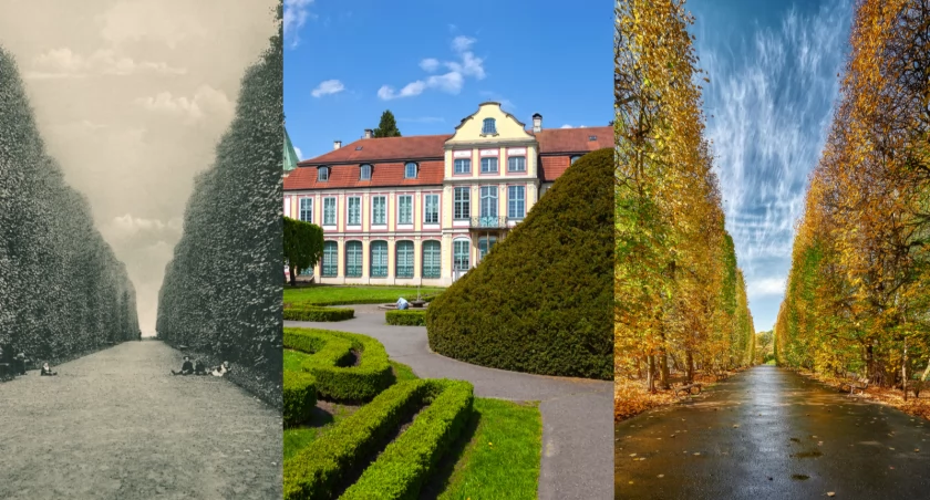 Ukochany park gdańszczan ma już ponad 800 lat. Czy znasz jego historię? - Zdjęcie główne