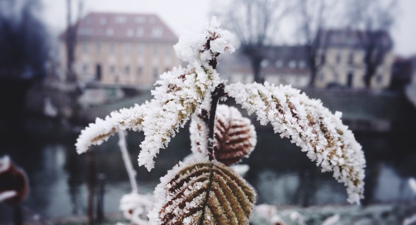 W nocy temperatura spadnie kilka kresek poniżej zera! - Zdjęcie główne