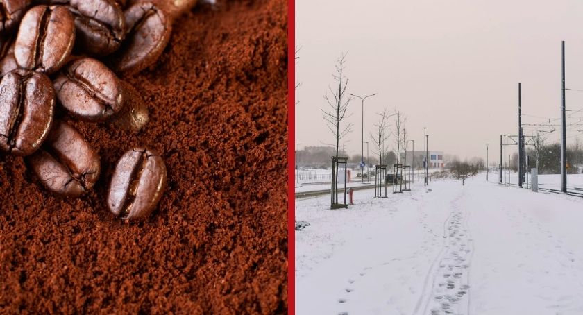 Czy Gdańsk wykorzysta fusy z kawy do walki ze śniegiem na chodnikach? - Zdjęcie główne