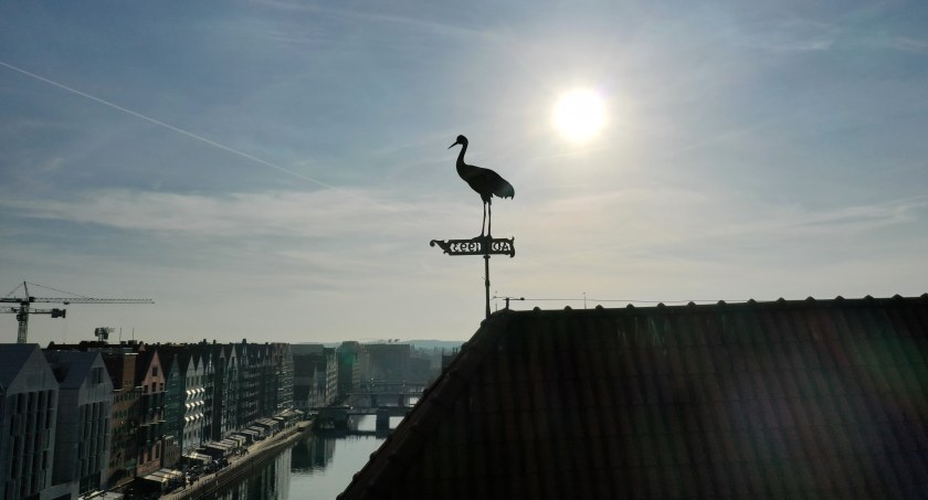 Symbol gdańskiego Żurawia odnowiony [ZDJĘCIA] - Zdjęcie główne