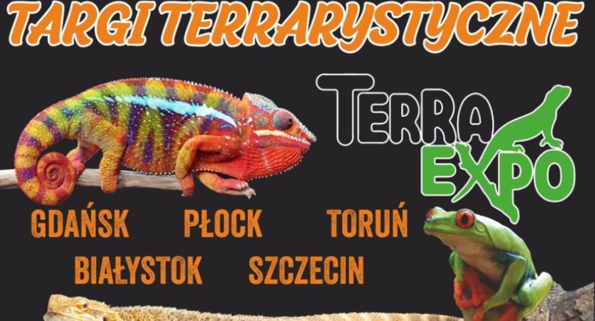 Targi Terra Expo już w niedzielę w Ergo Arenie - Zdjęcie główne