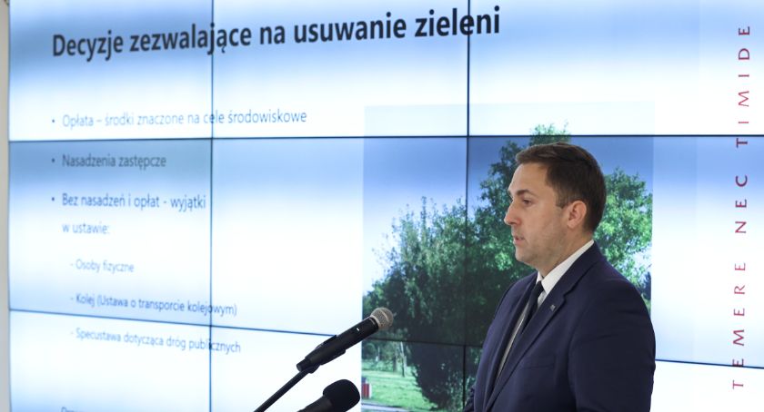 Nowa zielona polityka miasta: trzy razy więcej nasadzeń zastępczych - Zdjęcie główne