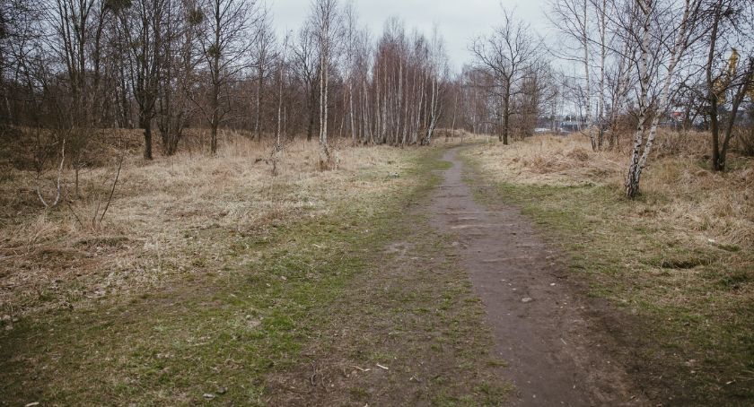 Nowy Port. Zagospodarowanie parku na Szańcu Zachodnim oddala się  - Zdjęcie główne